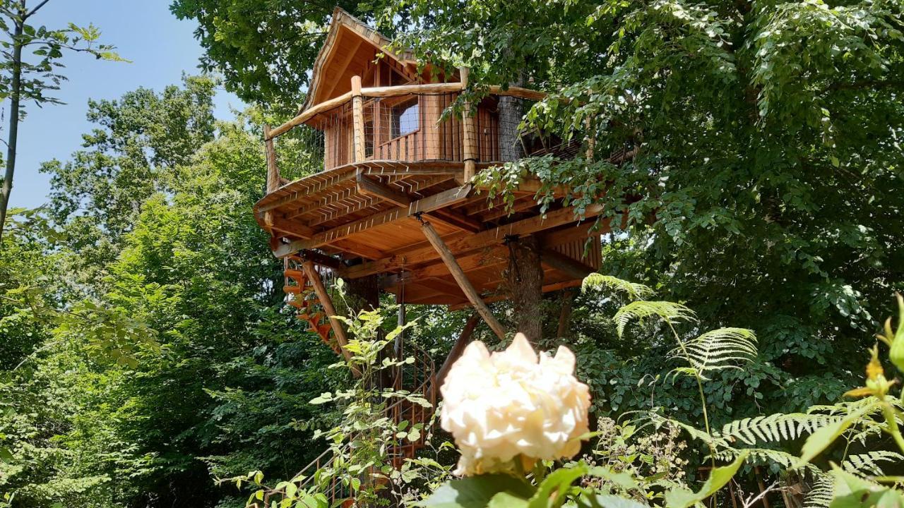 Villa Caban'Aspe Accous Esterno foto